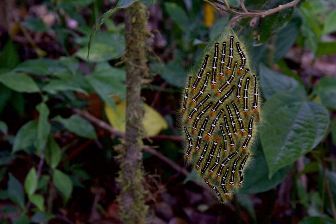Costa Rica Delivers on Wildlife and Adventure But Venomous Spider Cuts Trek Short