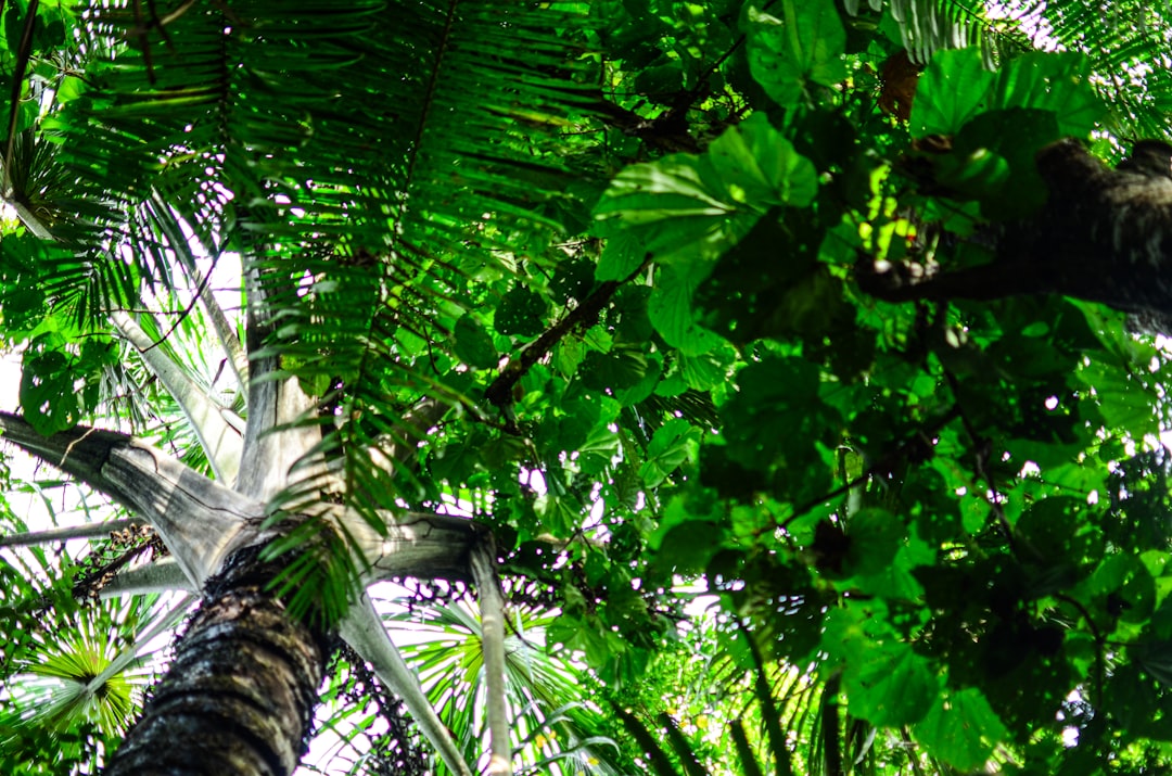 'Jumanji 3' Retreats From 'Dunesday,' Shifts to Christmas Release