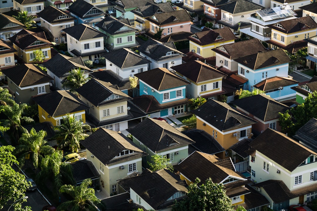 The World Is Watching New Zealand's Housing Crash - And Asking What Went Wrong