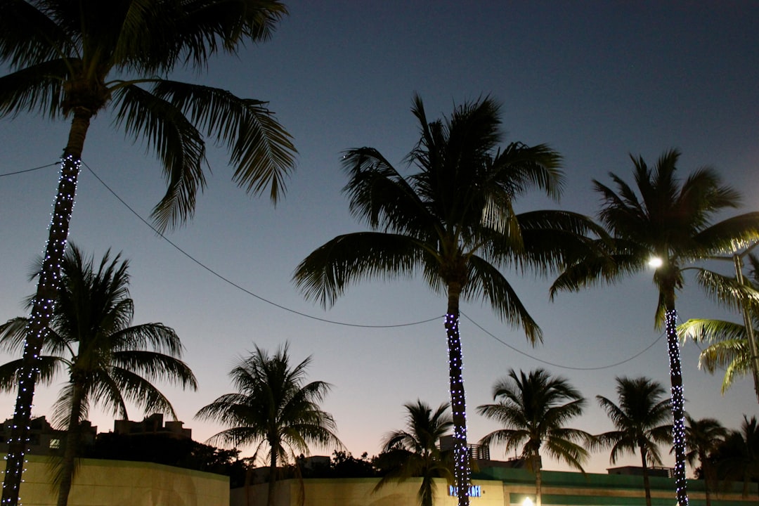 Digital Nomads Are Fleeing California for Florida Residency—But Is It Worth the DMV Nightmare?