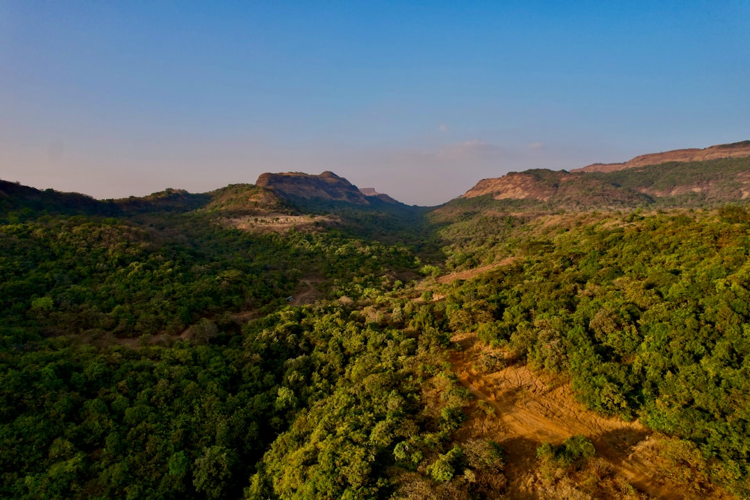 Supreme Court Justice Calls for Corporate Environmental Accountability in Mining States