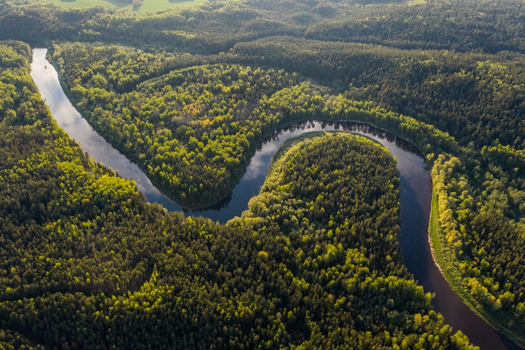 Amazon Deforestation Drops to Six-Year Low as Conservation Efforts Bear Fruit