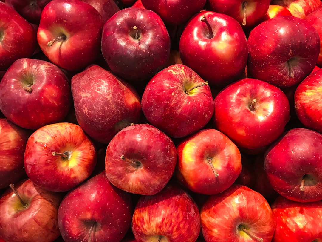 Major Fruit Exporter Burning R2 Million Daily in Diesel Amid Power Crisis