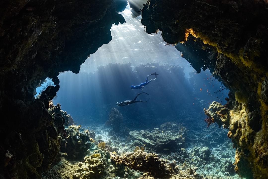 Subnautica 2 Is So Successful That Krafton Has to Pay Devs $250 Million