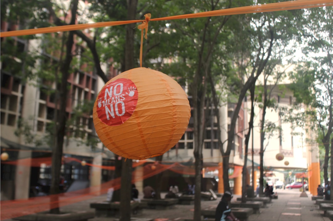 Rape Case Discourse Exposes Deep Gender Divide in Nigerian Justice Debates