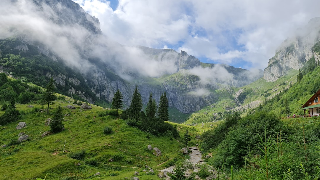 Ukraine's Carpathians Emerge as Backpacking Destination Despite Ongoing Conflict